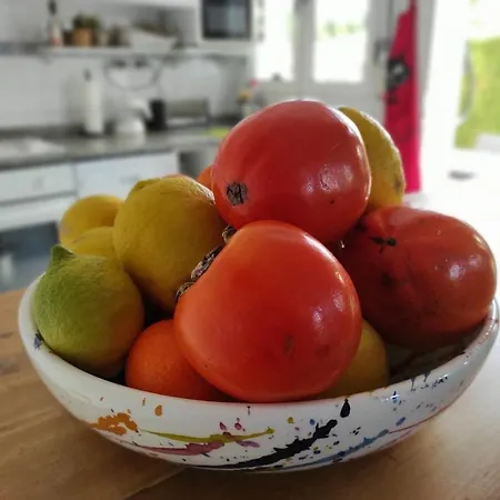 Σπίτι διακοπών Lilas In Els Poblets